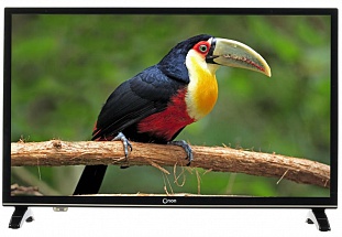 Телевизор LED 22" ORION ПТ-55ЖК-100ЦТ Черный, Full HD, HDMI, USB, DVB-T2