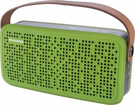 Портативная акустика Telefunken TF-PS1230B зеленый/коричневый