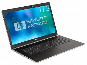Ноутбук HP Probook 470 G5 <2XZ76ES> i5-8250U (1.6)/16Gb/512Gb SSD/17.3" FHD IPS AG/NV 930MX 2Gb/Cam HD/BT/FPR/Win10 Pro (Pike Silver)