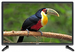 Телевизор LED 22" ORION ПТ-55ЖК-120 Черный, Full HD, HDMI, USB