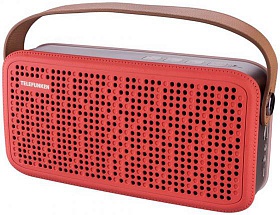 Портативная акустика Telefunken TF-PS1230B красный/коричневый