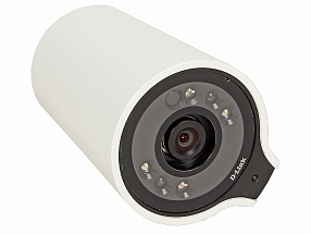 Интернет-камера D-Link DCS-7000L/RU/A1A Беспроводная облачная сетевая HD-камера с поддержкой ночной съемки
