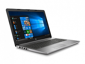 Ноутбук HP 250 G7 <6BP04EA> i5-8265U (1.6)/8Gb/256Gb SSD/15.6"FHD AG/Int Intel UHD 620/DVD-RW/BT/DOS/Silver