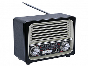 Радиоприемник MAX MR-370, AM/FM/SW, трехполосный радиоприемник, разъемы USB/TF, BLUETOOTH, мощность 5W, цвет: Black/Gold