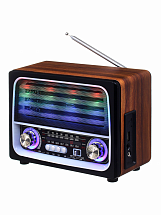 Радиоприемник MAX MR-450