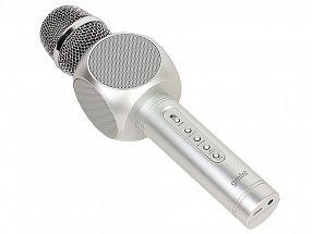 Портативный микрофон-караоке плеер Gmini GM-BTKP-03S BT динамики 2 шт., Мощность: 5 Вт.х2, перезаряжаемый аккумулятор, серебристый